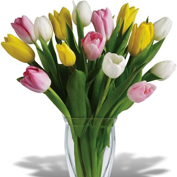 Bouquet of pink, yellow, and white tulips in a clear glass vase