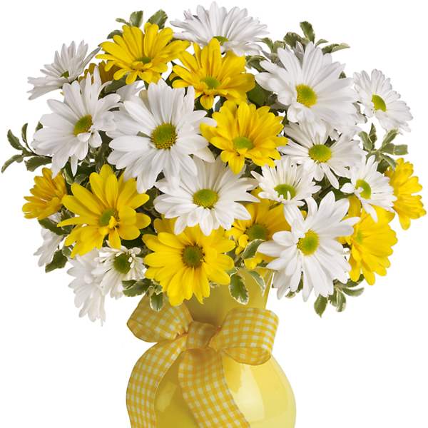 Bouquet of white and yellow daisies in a yellow vase with a gingham ribbon