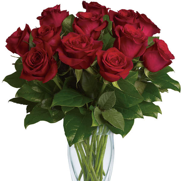 Red roses arranged in a clear glass vase