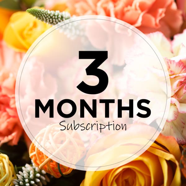 Floral subscription graphic with mixed roses and carnations behind a "3 months" label