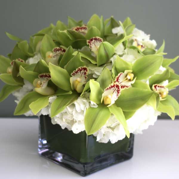 Green orchids and white flowers in a square glass vase