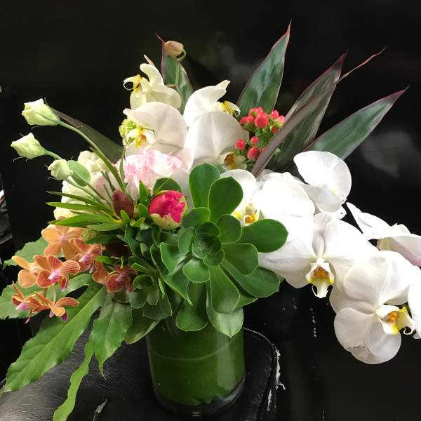 Mixed floral arrangement with white orchids and green succulents in a vase