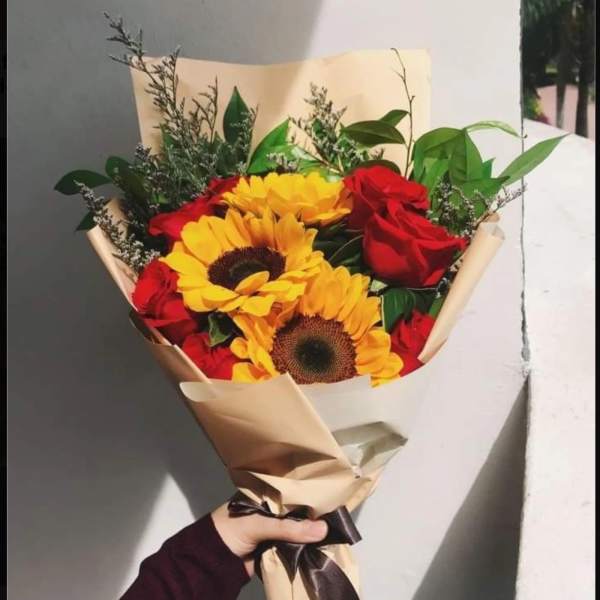 Sunflower Beauty
