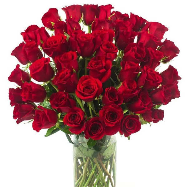 50 Red Roses