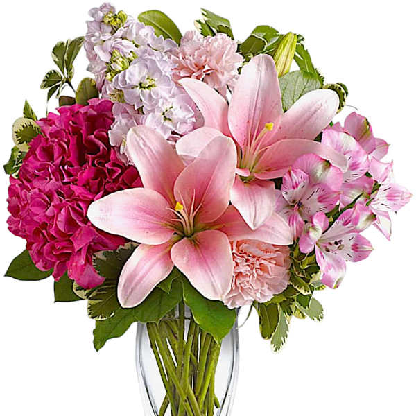 Blush of Love
