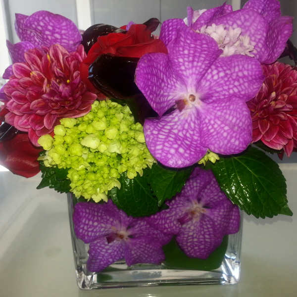 Purple orchids and red dahlias in a clear square vase