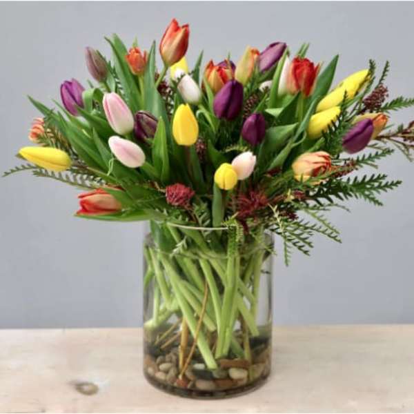 Mixed-color tulip arrangement in a clear glass cylinder vase with visible stems and stones at the base