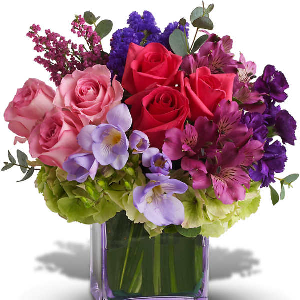 Bouquet of pink and red roses in a purple glass vase