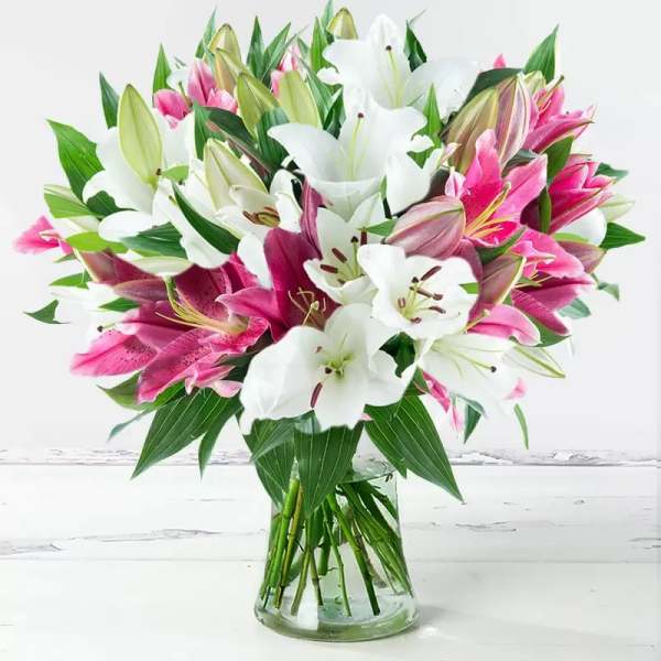 Bouquet of pink and white lilies in a clear glass vase