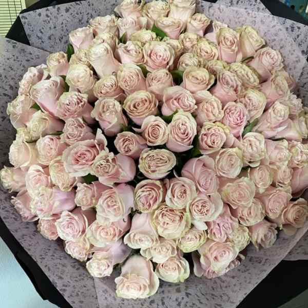 Large bouquet of pale pink roses wrapped in patterned paper