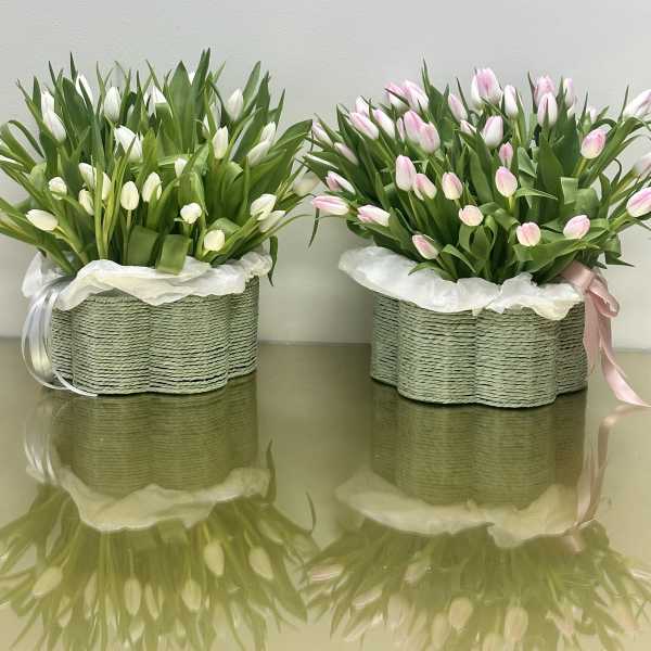 Two tulip arrangements in woven baskets, one white and one pink
