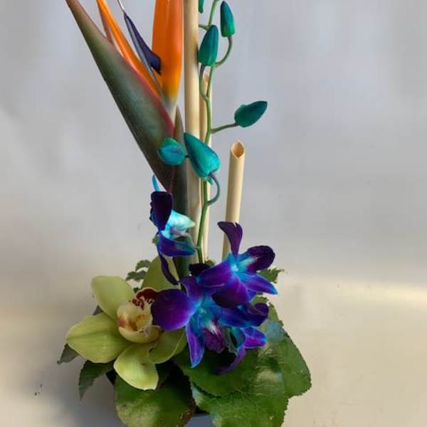Tropical arrangement with bird of paradise and orchids in a vase