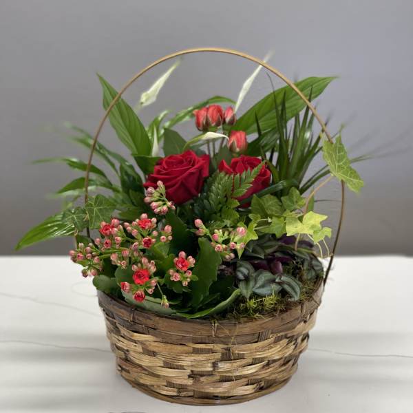 Basket arrangement with red roses and pink kalanchoe flowers