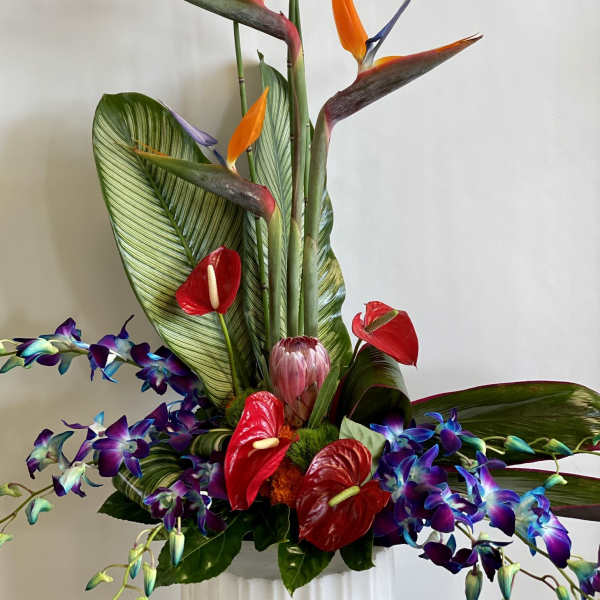 Tall tropical arrangement with orange bird-of-paradise and red anthuriums