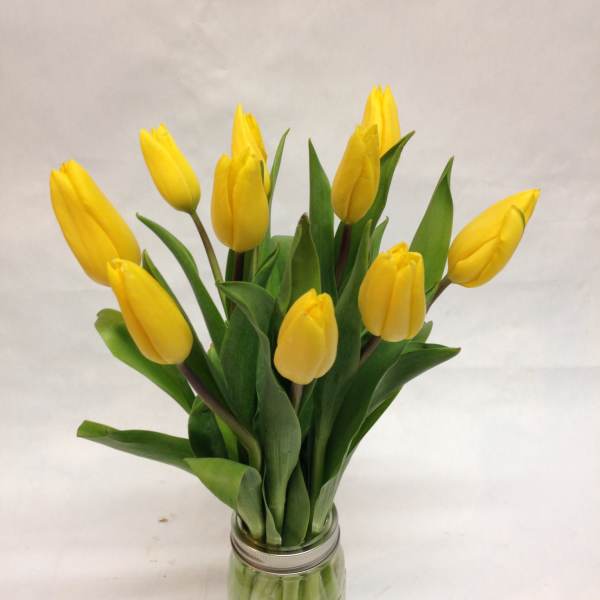 Yellow tulips arranged in a clear glass jar