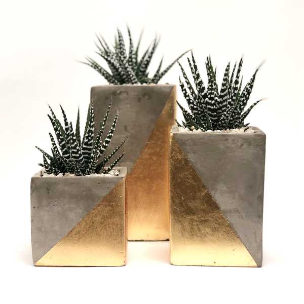 Three potted succulents in gray and gold geometric planters