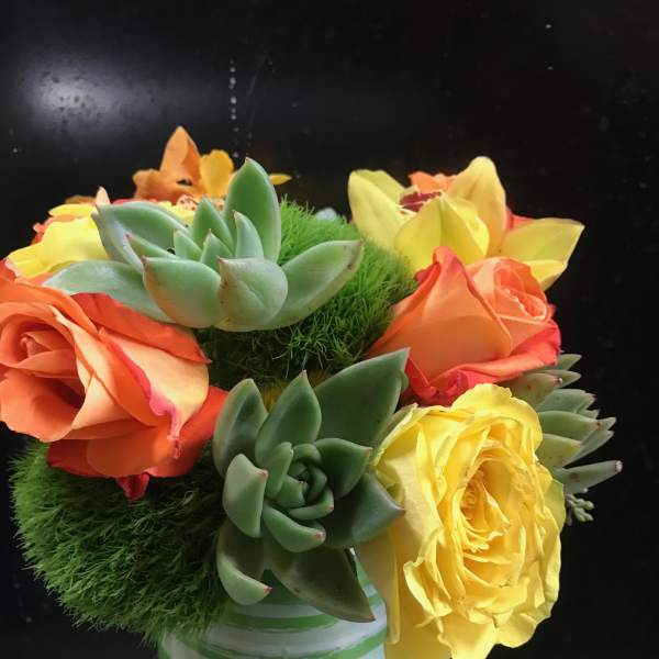 Bouquet of orange and yellow roses with succulents in a striped vase