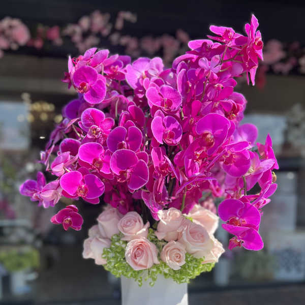 Pink orchid and pale roses arranged in a tall white vase