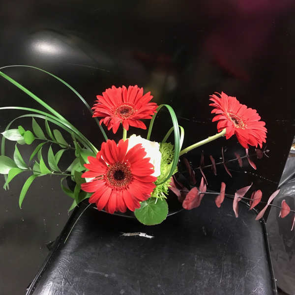 Three red gerbera daisies with greenery on a black background