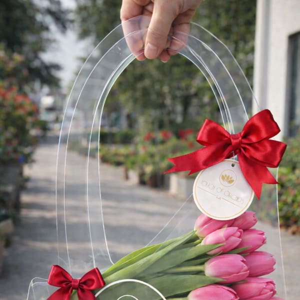 Pink tulips in a clear gift bag with red bows