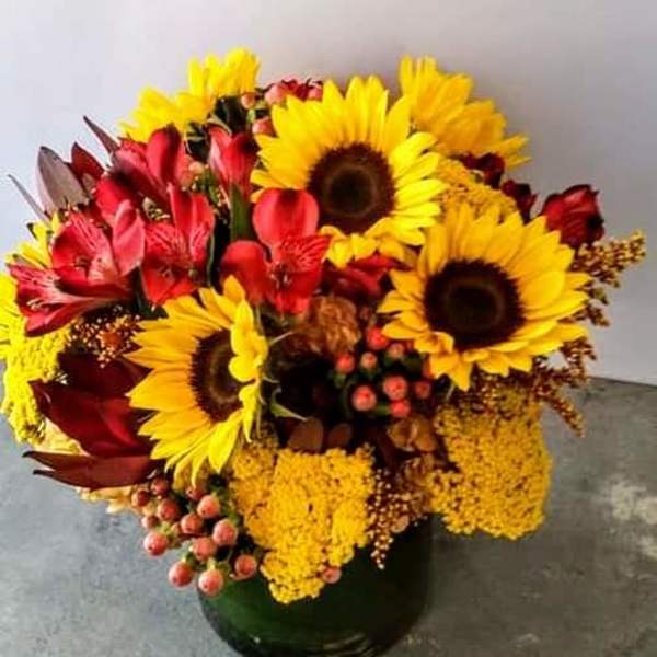 Bouquet of sunflowers, red alstroemeria, and yellow mums in a dark vase