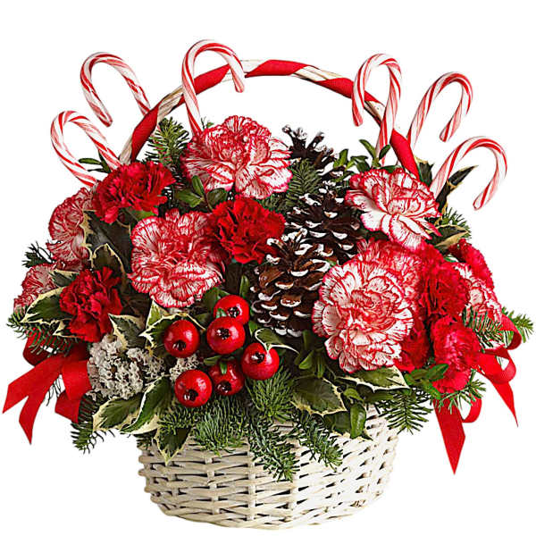 Red and white carnations in a wicker basket with candy canes and pinecones
