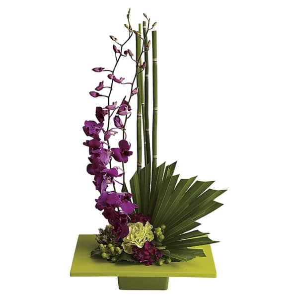 Tall purple orchid arrangement with bamboo and fan leaves in a green container