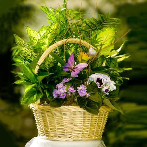 Basket arrangement with purple flowers and dense green foliage