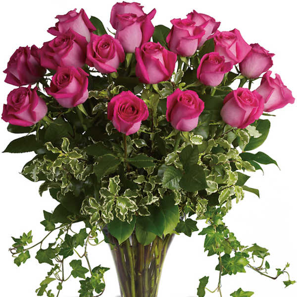 Pink roses arranged in a clear glass vase with trailing ivy