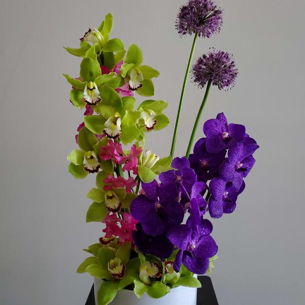 Purple and green orchid arrangement in a white pot