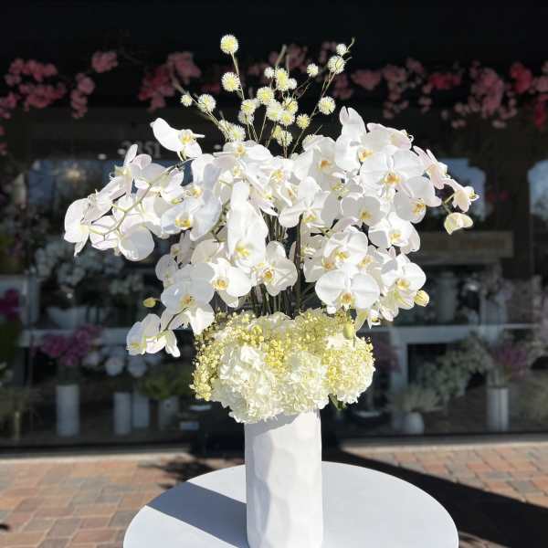 White orchid arrangement in a tall white vase