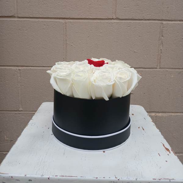 White roses with one red rose in a black round box