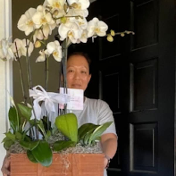 Tall white orchid planter in a wooden box held by a person standing in a doorway