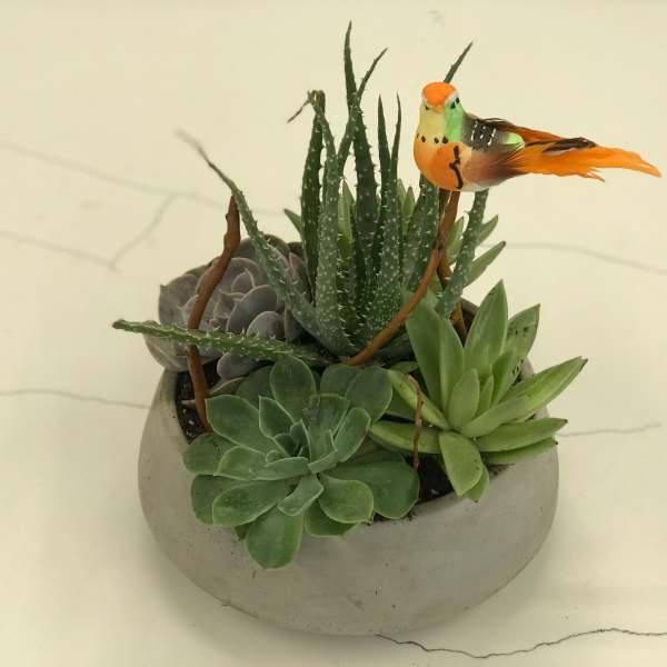 Succulent arrangement in a round gray planter with a small bird decoration