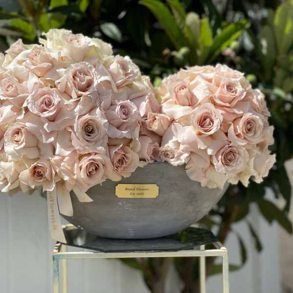 Two pale pink rose arrangements in a gray bowl vase