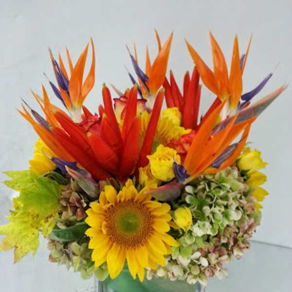 Bright tropical bouquet with sunflowers and bird of paradise in a glass vase