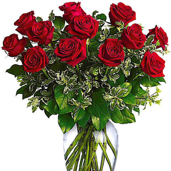 Red roses arranged in a clear glass vase with variegated greenery