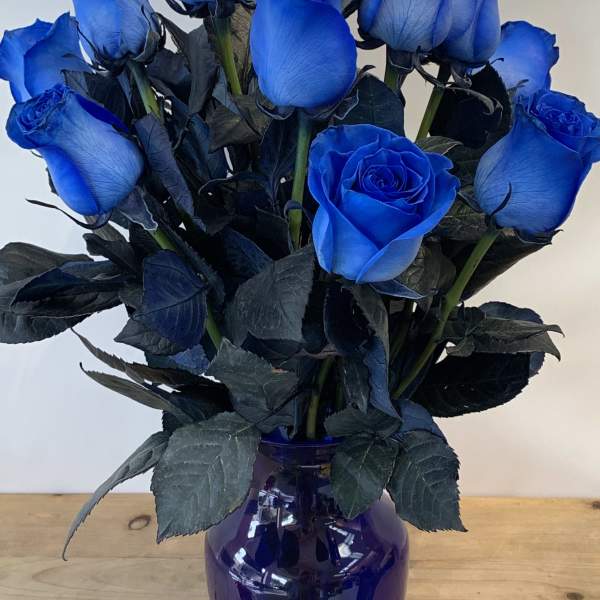A dozen Blue Roses arranged in blue glass vase- W653