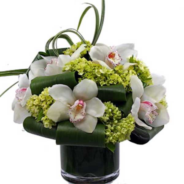 White orchids and green blooms arranged in a dark glass vase