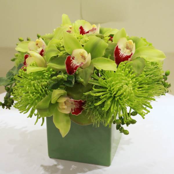 Green floral arrangement with orchids and chrysanthemums in a square vase