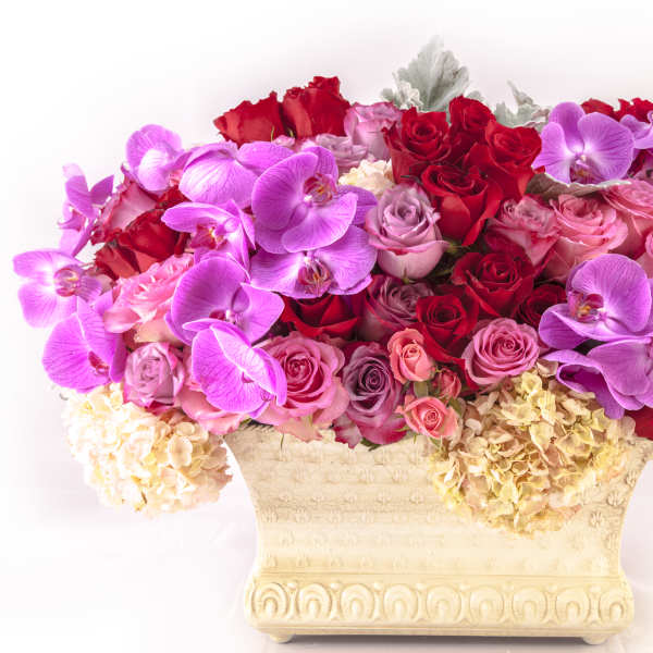 Pink and red roses with purple orchids in a cream vase