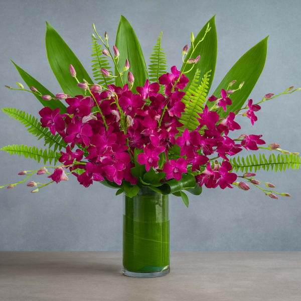Magenta orchids arranged in a tall glass vase with broad green leaves