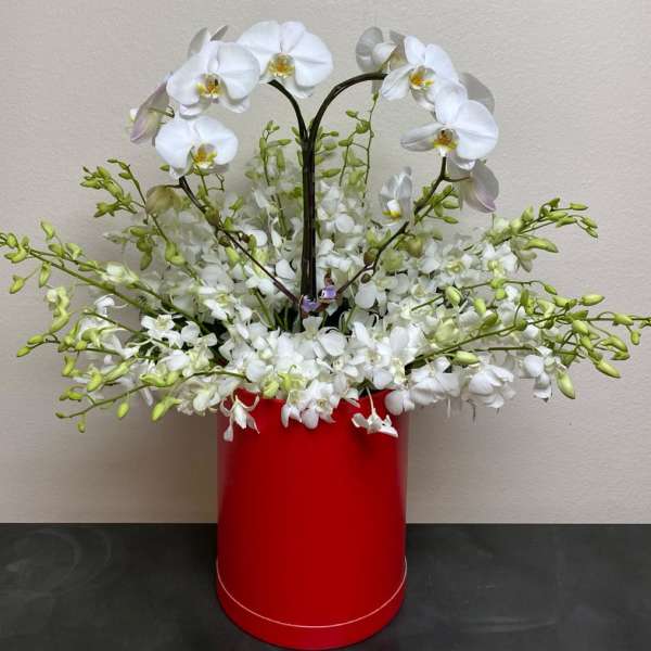 White orchids arranged in a red cylindrical container