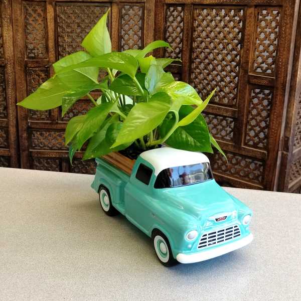 Potted green plant arranged in a turquoise toy pickup truck planter