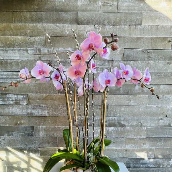 Pink orchid arrangement in a white bowl planter