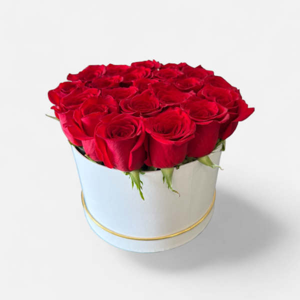 Red roses arranged in a round white hat box