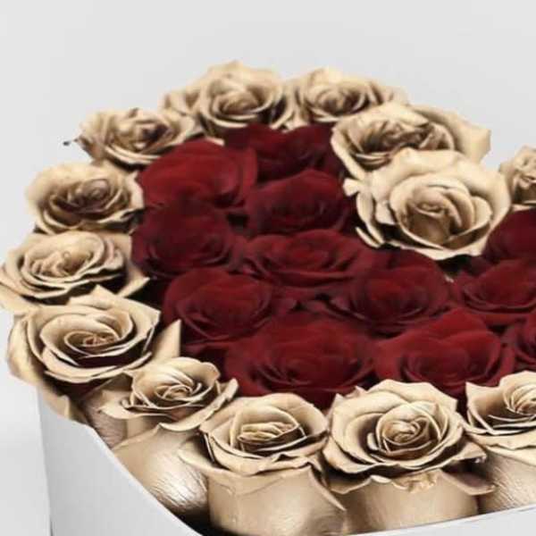 Heart of Gold