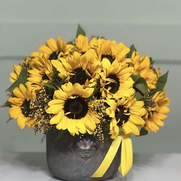 Bouquet of yellow sunflowers in a dark box with a yellow ribbon