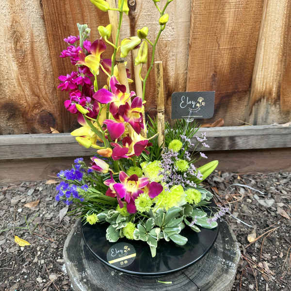 Colorful orchid arrangement in a black dish with mixed blooms