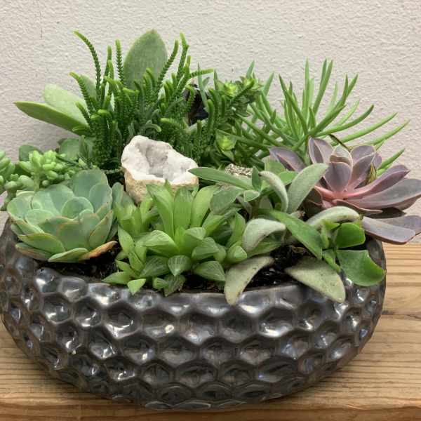 Succulent arrangement in a textured dark ceramic bowl with a white geode accent